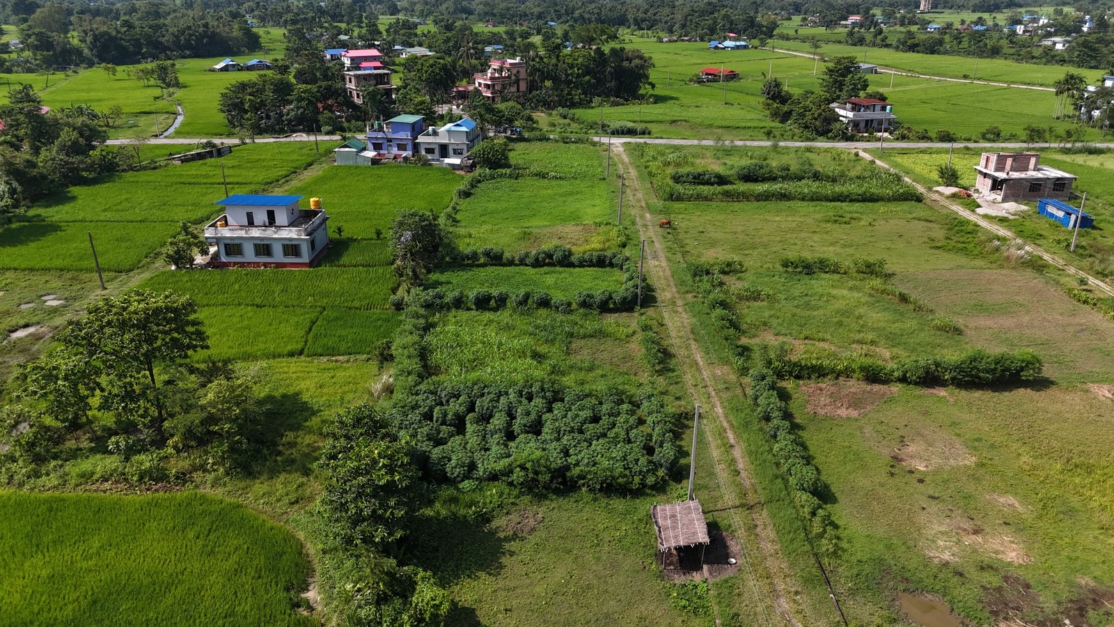 DJI_20260910204829_0004_D