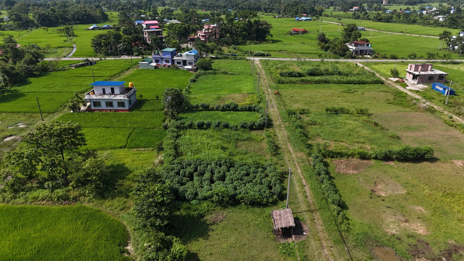 DJI_20260910204831_0005_D